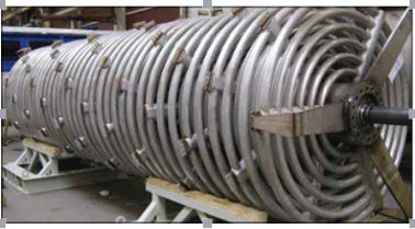 Aço carbono do secador da bobina da fonte da planta de rendição do desperdício da galinha do vapor ou de aço inoxidável